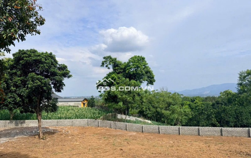 ÁN GẤP 2.000M² ĐẤT SÁT DỰ ÁN NHÀ Ở HÒA SƠN – GIÁ CỰC TỐT